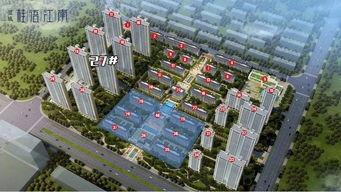 郑州蓝城最新事件爆料新闻,最新爆料揭示惊人真相  第1张 郑州蓝城最新事件爆料新闻,最新爆料揭示惊人真相  第1张