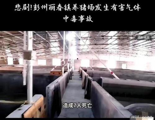 彭州网友爆料事件最新,揭秘事件背后惊人真相!  第3张 彭州网友爆料事件最新,揭秘事件背后惊人真相!  第3张