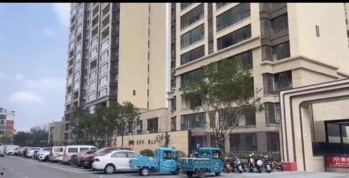 邯郸一小区爆料新闻视频,业主维权事件引发社会关注  第2张 邯郸一小区爆料新闻视频,业主维权事件引发社会关注  第2张