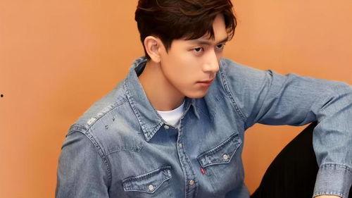 综艺大爆料李现视频,李现幕后故事揭秘  第2张 综艺大爆料李现视频,李现幕后故事揭秘  第2张