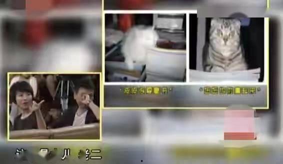 汉中主播爆料案件视频曝光,案情细节引发社会关注  第2张 汉中主播爆料案件视频曝光,案情细节引发社会关注  第2张