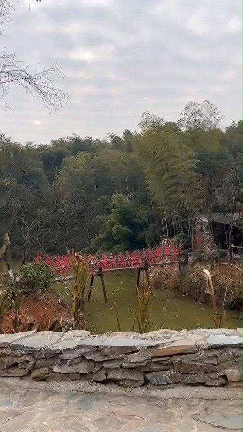 花溪新闻爆料最新消息网,最新动态速览,热点事件追踪  第2张 花溪新闻爆料最新消息网,最新动态速览,热点事件追踪  第2张