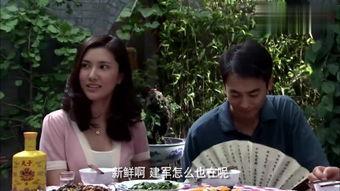 正阳门全集在线观看,穿越历史长河，探寻古都传奇  第2张