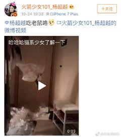 最新老鼠爆料视频下载大全,下载大全汇总  第2张 最新老鼠爆料视频下载大全,下载大全汇总  第2张